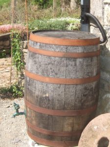 Whiskey barrel water butt