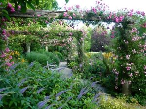 Doric column walkway